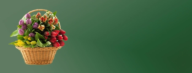 گل شاخه ای